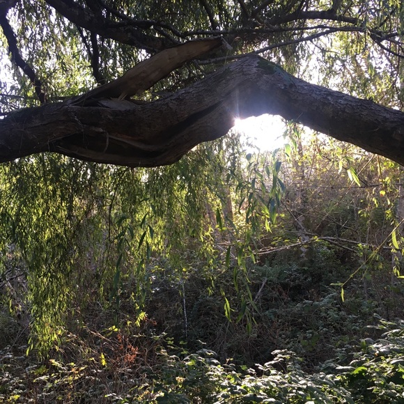 Meet your Posher, Hannah - Picture 1 of 1